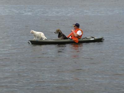 Not meant for 3 but works