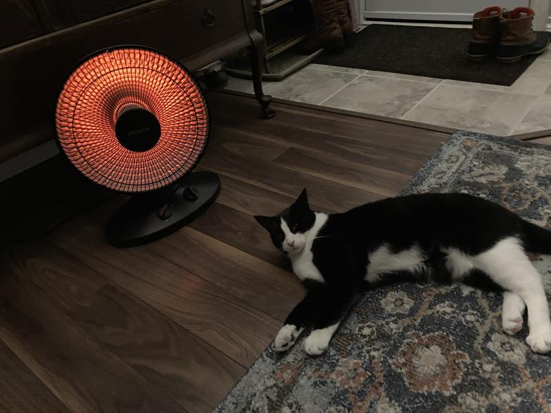 Photo - commentaire 1.