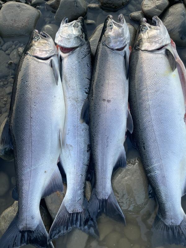 Photo - commentaire&nbsp;1.