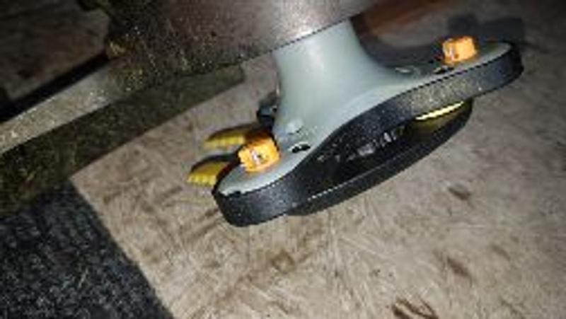 Photo - commentaire 1.