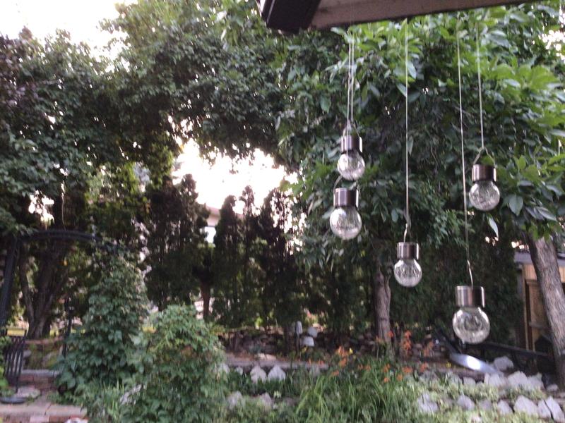 Photo - commentaire 6.