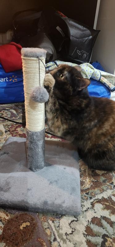 Photo - commentaire&nbsp;1.