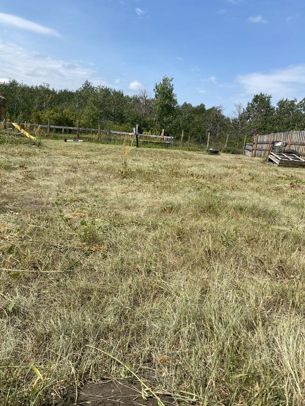 Photo - commentaire 1.