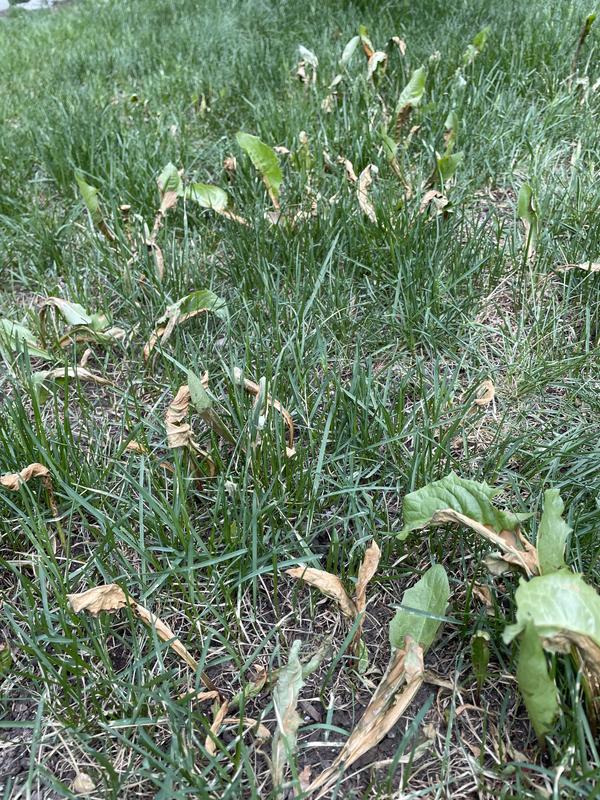 Photo - commentaire&nbsp;3.