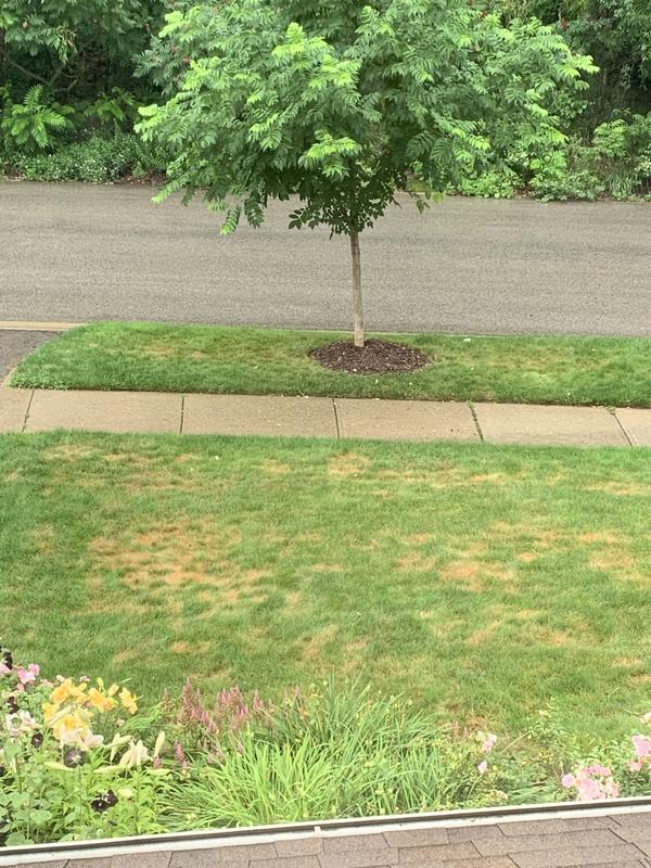 Photo - commentaire&nbsp;5.