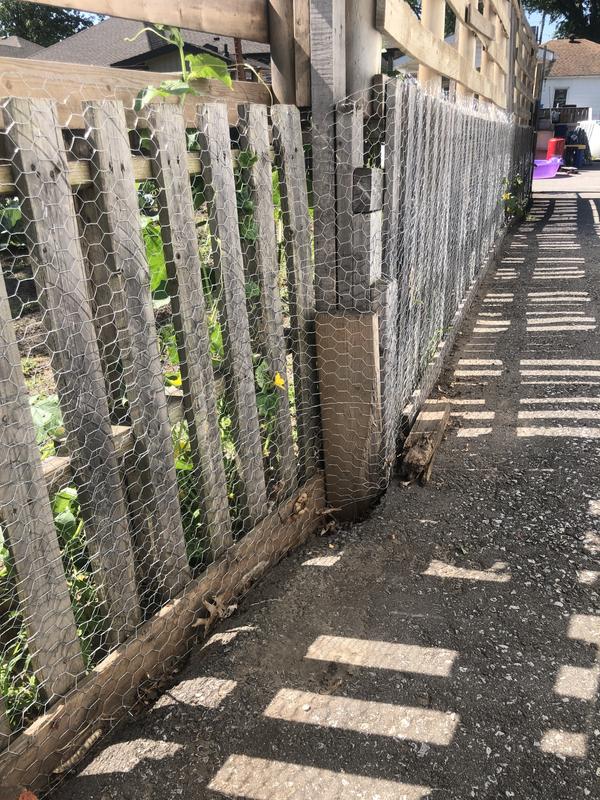 Photo - commentaire 3.