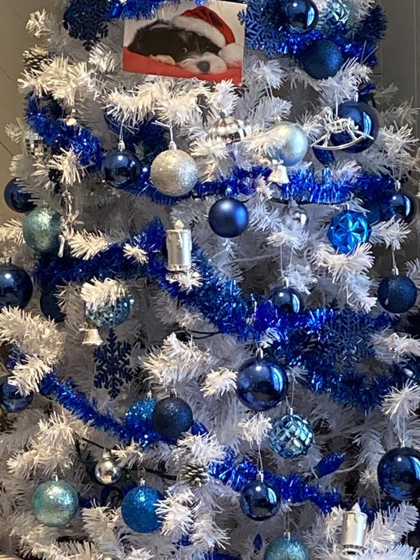 Photo - commentaire&nbsp;1.