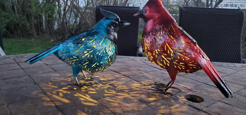 Photo - commentaire 1.