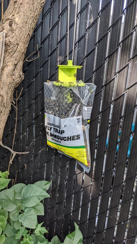 Photo - commentaire&nbsp;1.