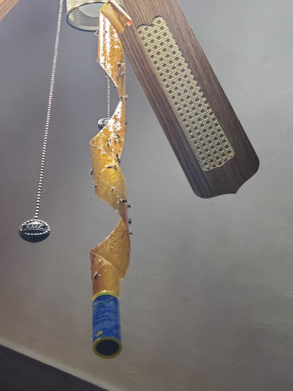 Cleans them up in just a few hours.