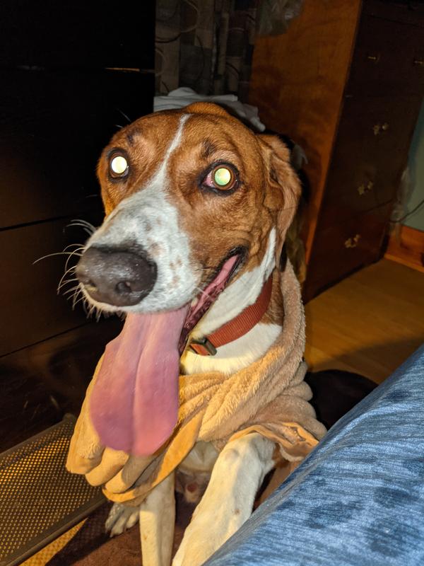 Photo - commentaire 2.