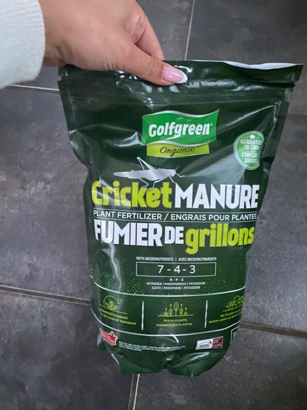 Photo - commentaire 8.