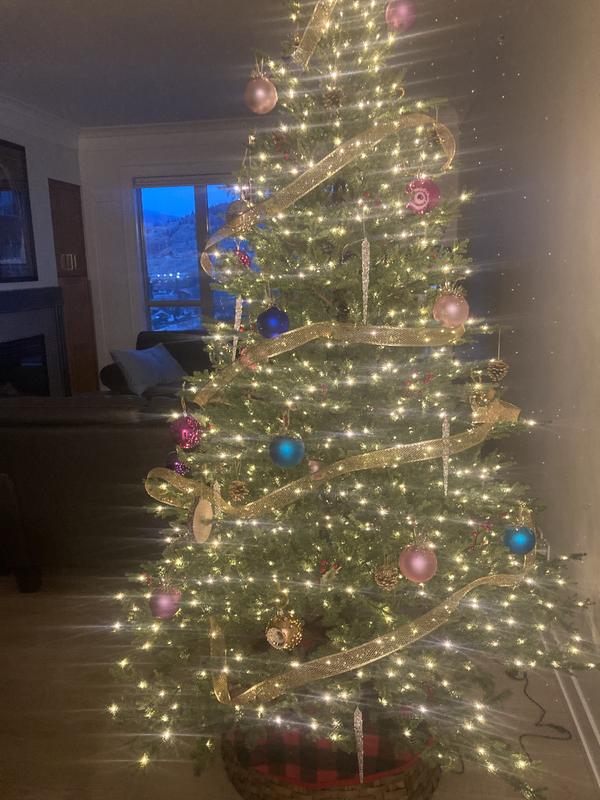 Everything is from Canadian Tire!