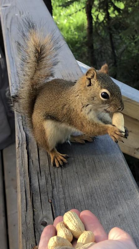 Photo - commentaire 1.