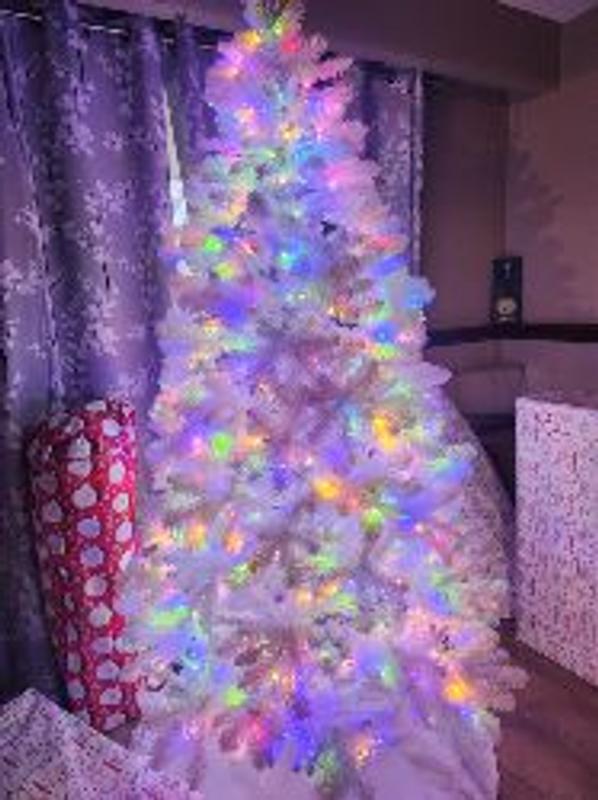 Photo - commentaire 1.