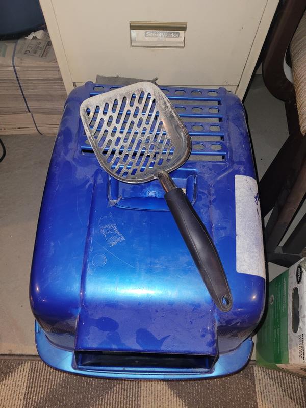 Photo - commentaire&nbsp;5.