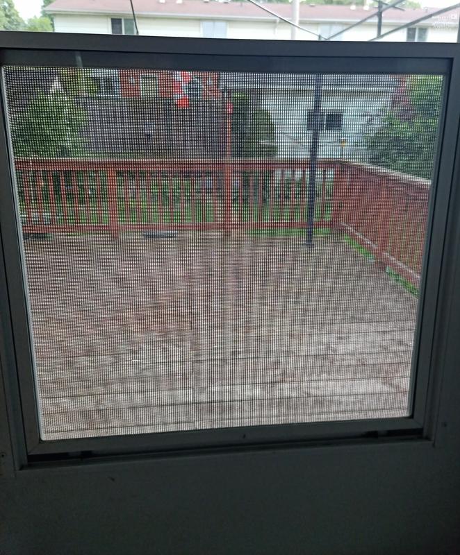 From the inside looking out, let's in lots of light