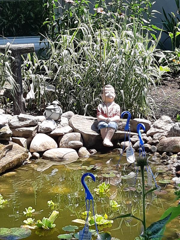 Summer fun at the pond.