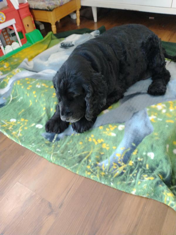 Photo - commentaire&nbsp;1.