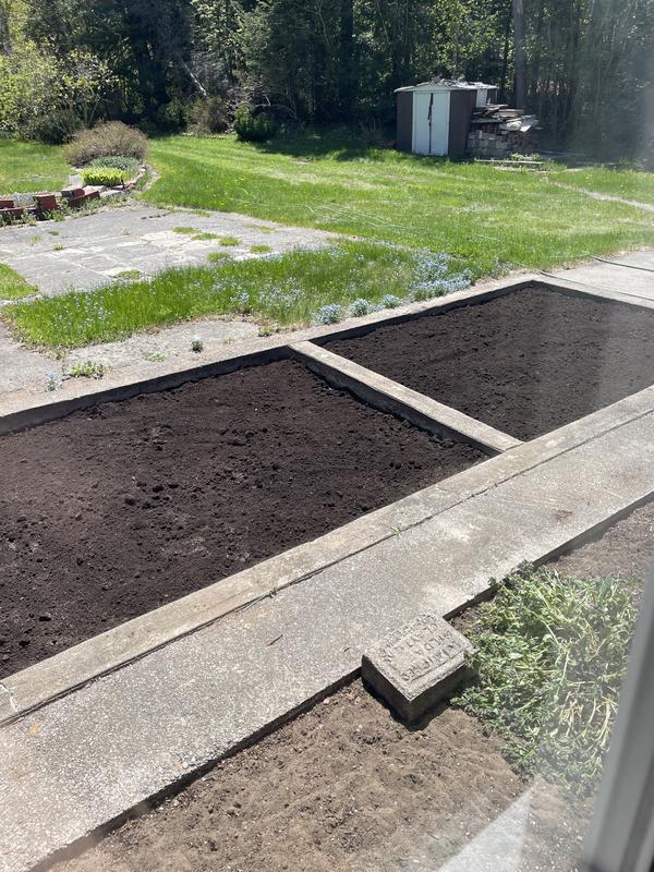Garden area.