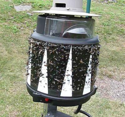 2nd Day of New SkeeterVac® Refill Sticky Trap