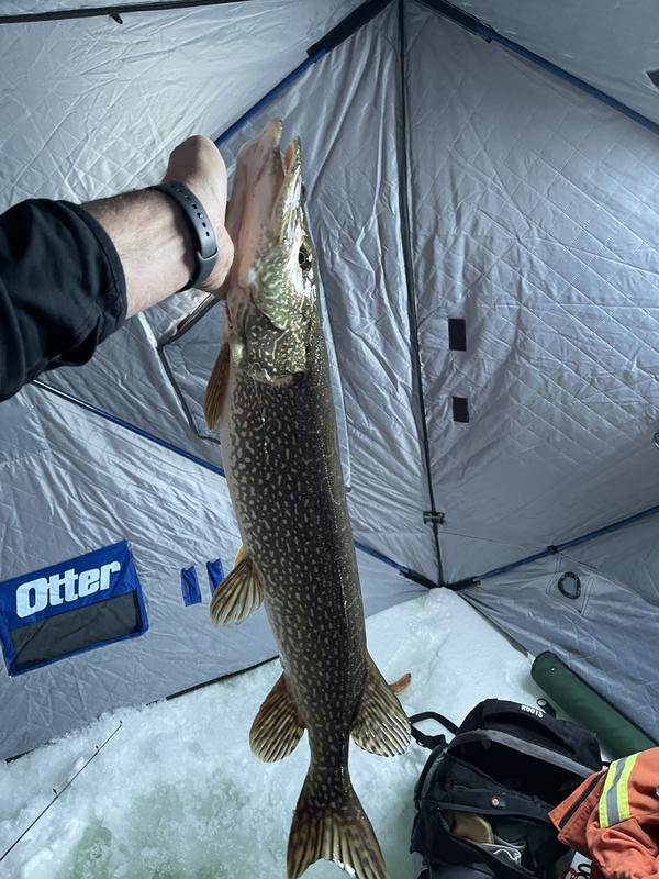 Photo - commentaire 3.