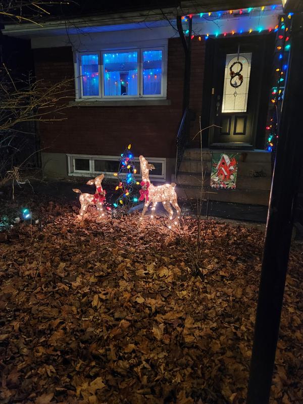 Photo - commentaire&nbsp;4.