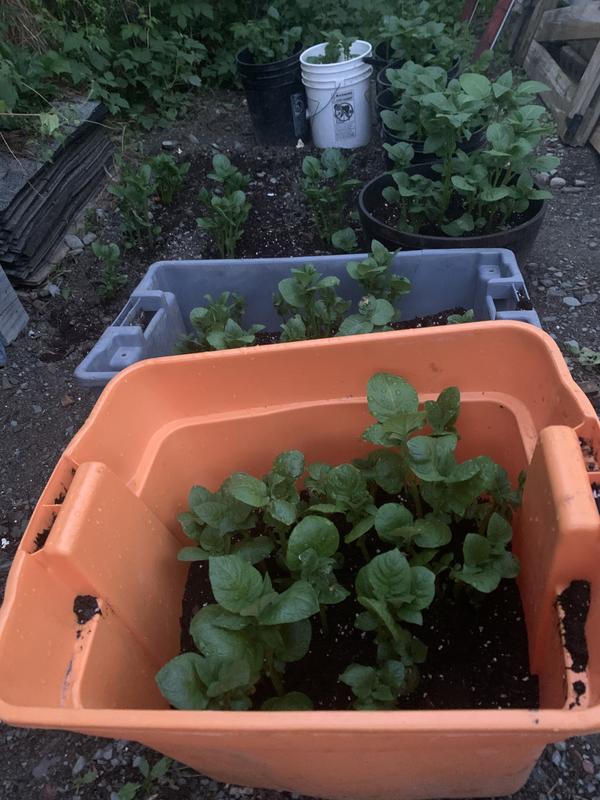 Photo - commentaire&nbsp;1.