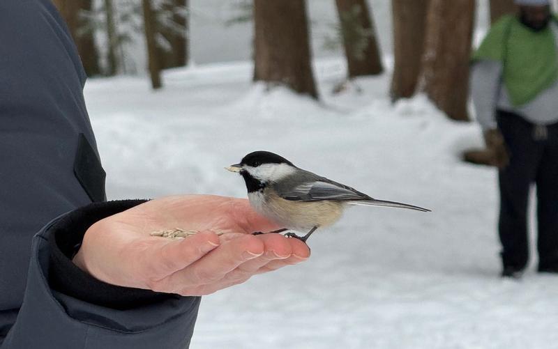 Photo - commentaire&nbsp;1.