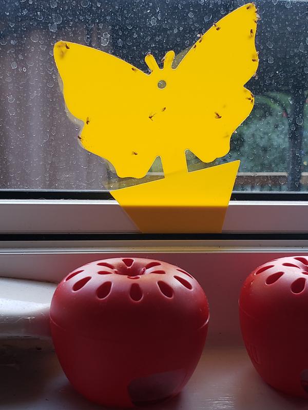 Two kinds of traps together work best.