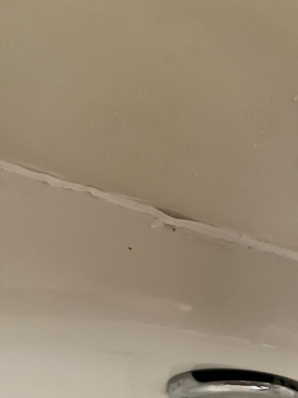 Photo - commentaire&nbsp;2.