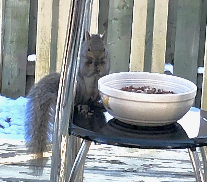 Photo - commentaire 1.