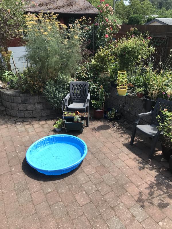 One of my comforts of home