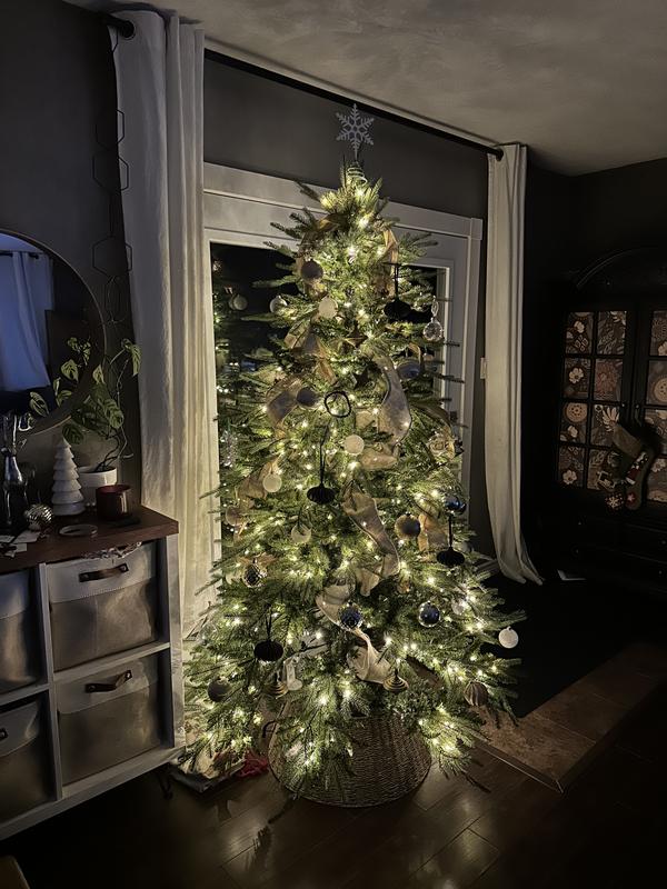 Photo - commentaire 1.