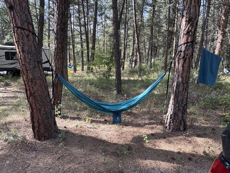 Woods Hammock - Very Nice