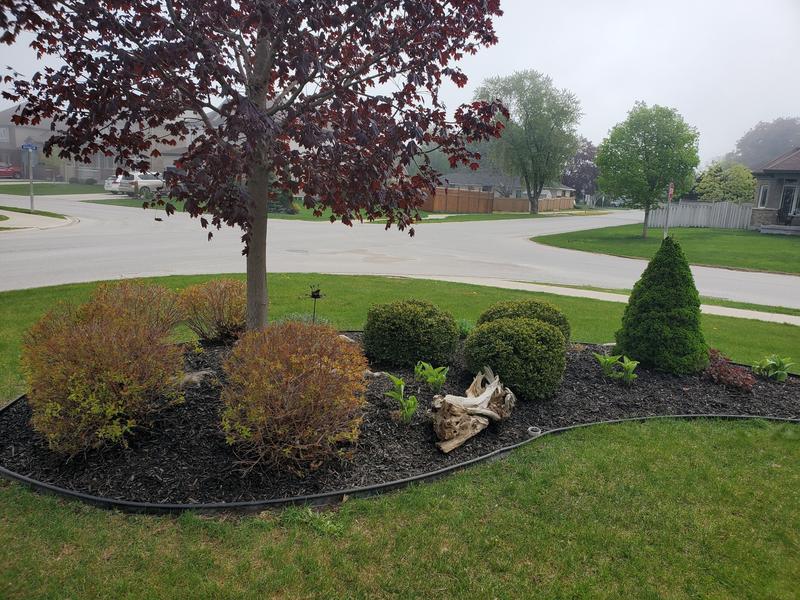 Photo - commentaire&nbsp;2.