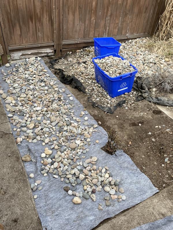 Photo - commentaire 2.