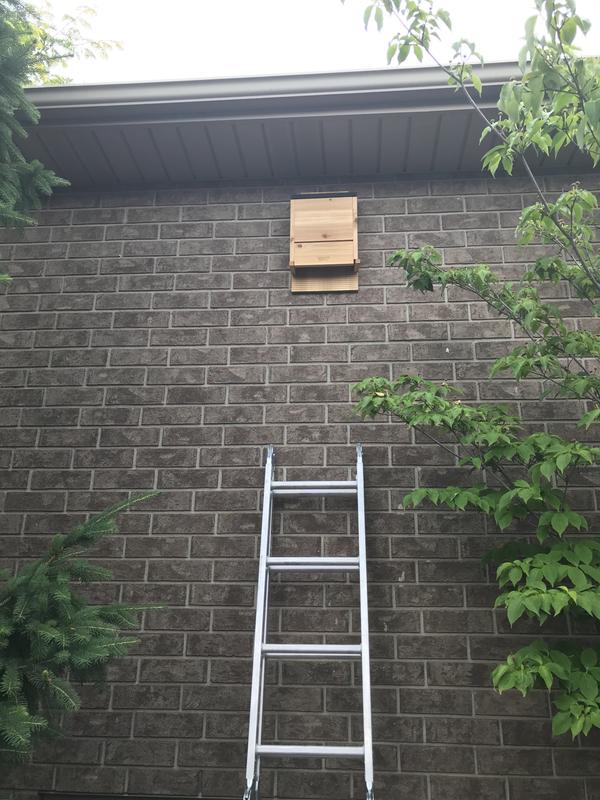 Photo - commentaire 1.