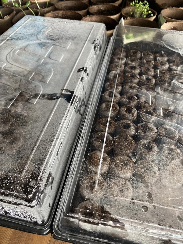 Photo - commentaire&nbsp;1.