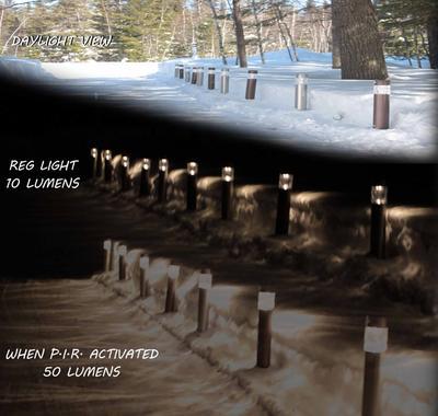 Tri view day/night10/night50