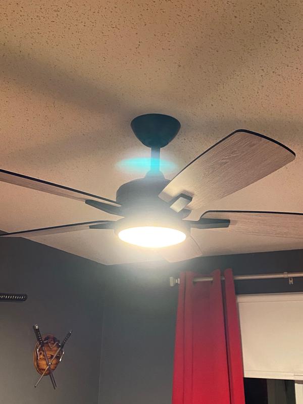 Great looking fan with great features.