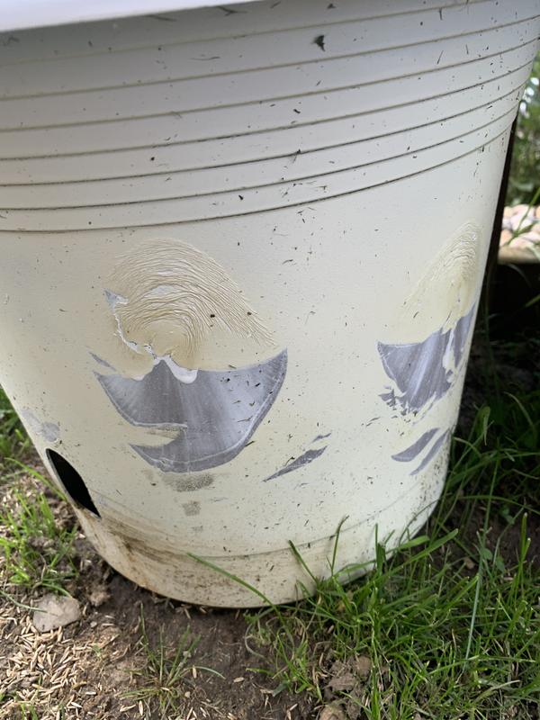 Photo - commentaire&nbsp;1.