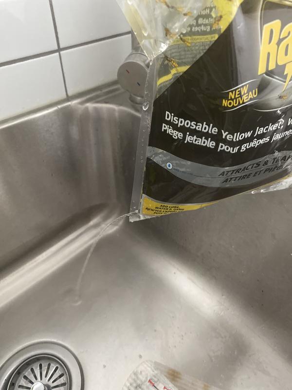 Photo - commentaire 3.