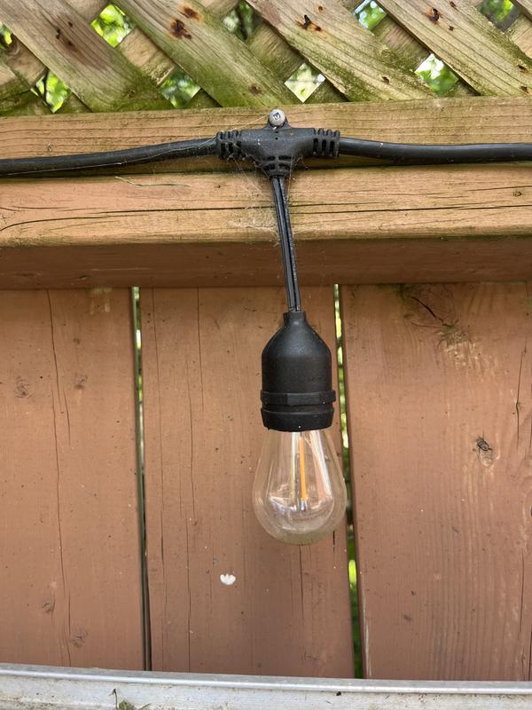 pics show where sockets are separating