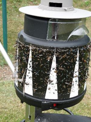 2nd Day of New SkeeterVac® Refill Sticky Trap