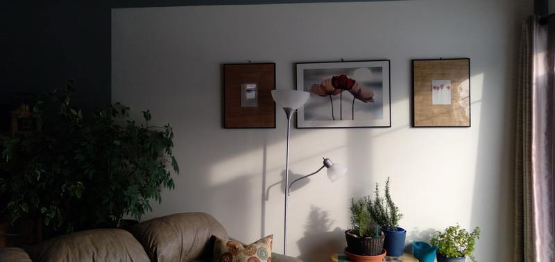 Photo - commentaire&nbsp;1.