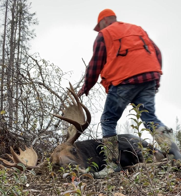 Photo - commentaire 3.