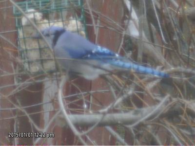 this winter will be easier with snacks !