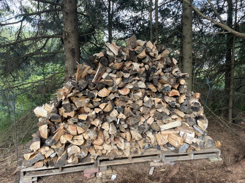 Cut most of that wood no problem