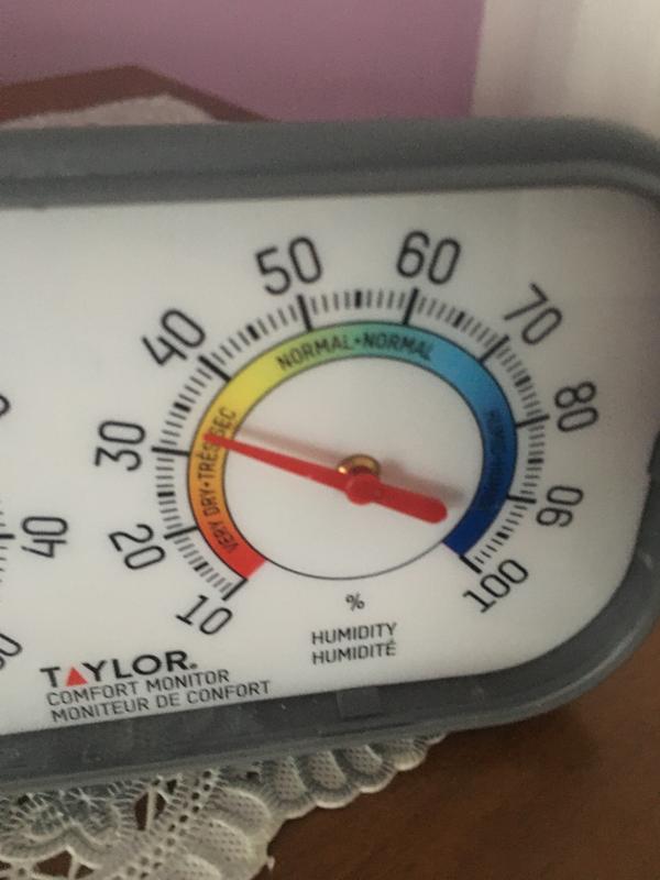 Photo - commentaire&nbsp;8.